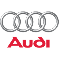 AUDI VALVES