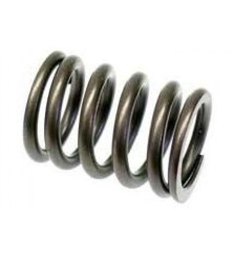 Single Valve Springs - Stock