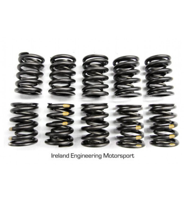 Dual Valve Springs - Race - M30