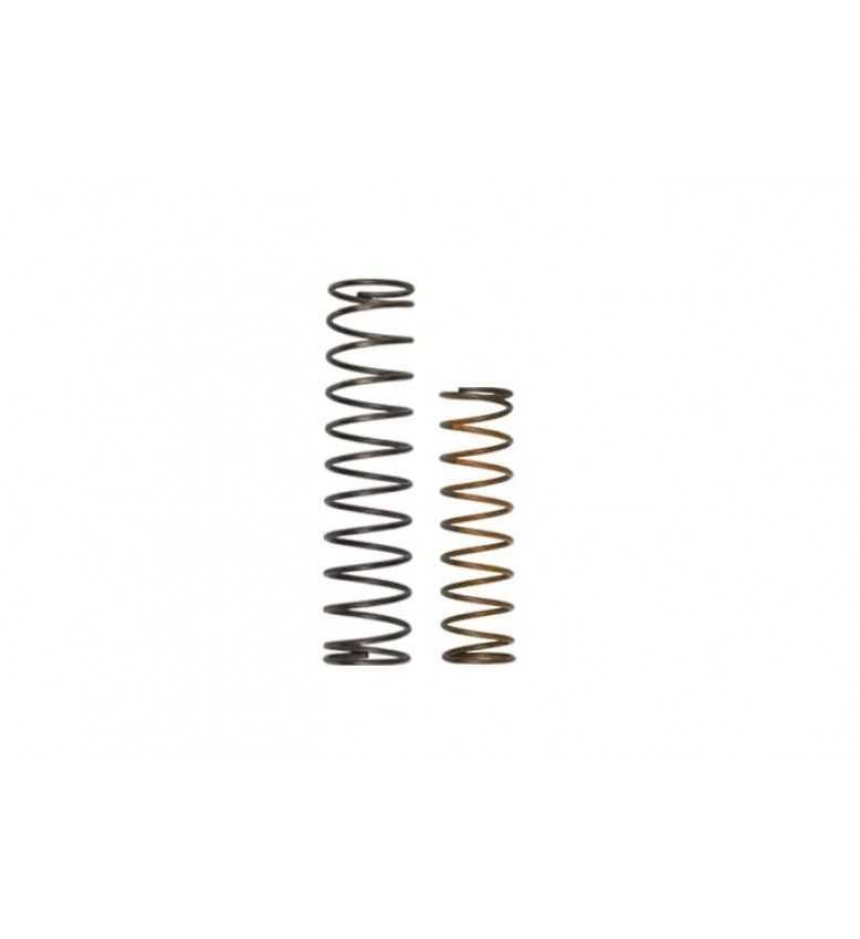 OLD BOV Race Port Spring System