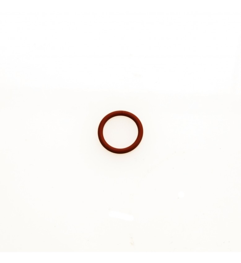 WG Valve Guide 'O' Ring