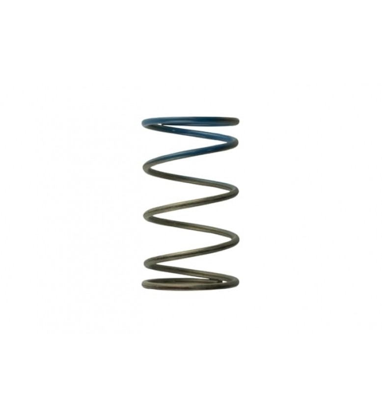 2011 WG38/4045 10PSI Outer Spring Brown/Blue