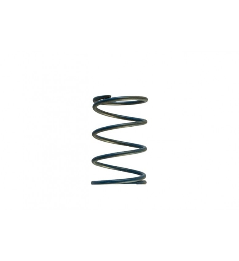 WG45/50 Gen-V 14psi outer spring - Blue