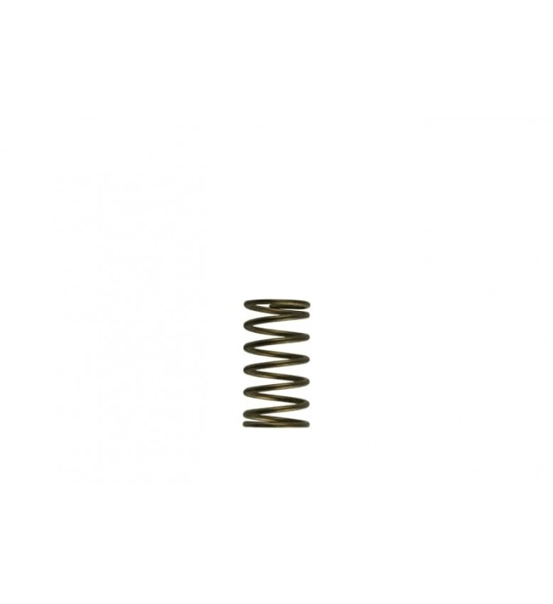 WG60 Gen-V 3psi Inner spring 