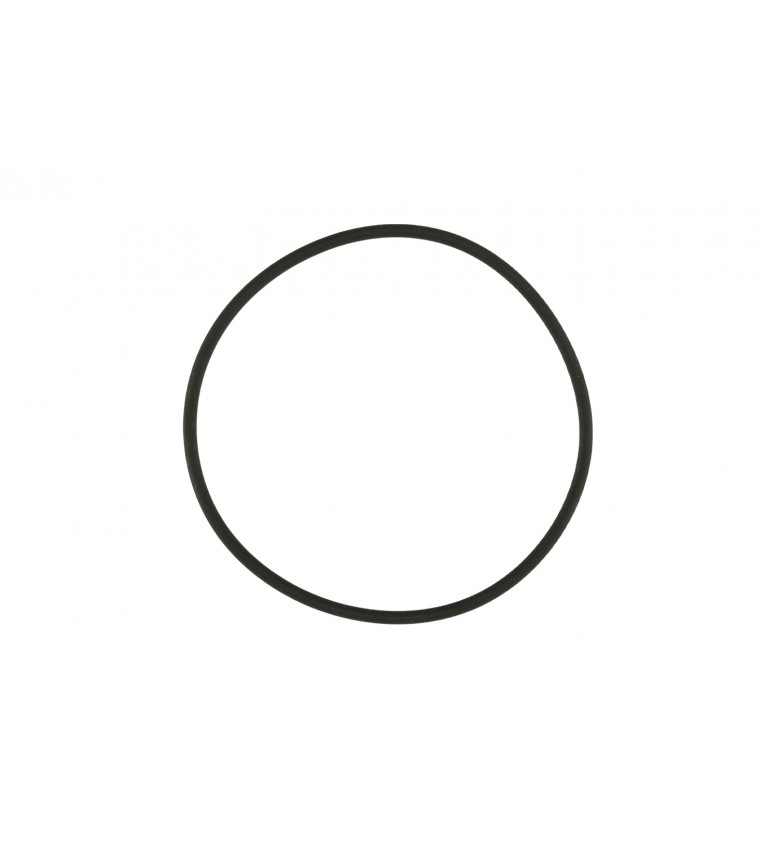 WG38/40 Actuator Cap O-Ring