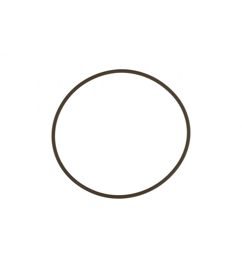 WG45/50 Actuator Cap O-Ring