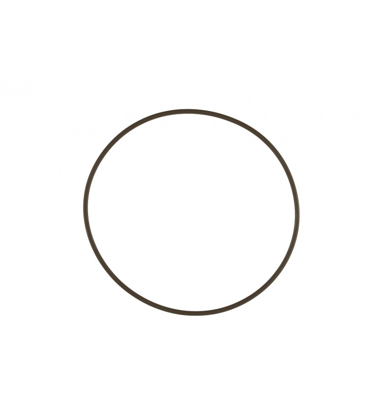 WG60 Actuator Cap O-Ring