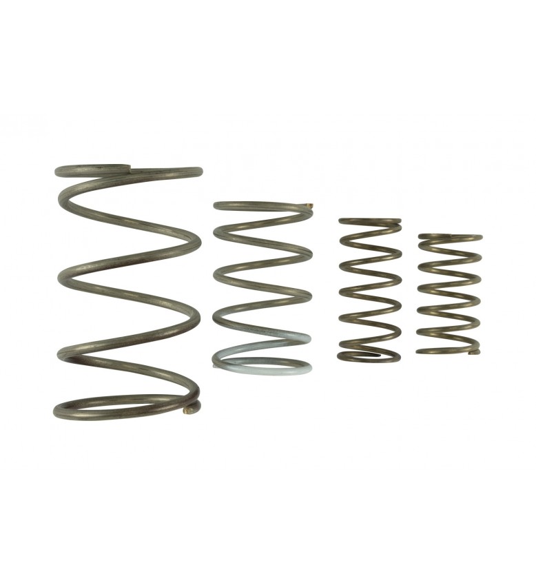 GenV WG60 Spring Replacement Kit