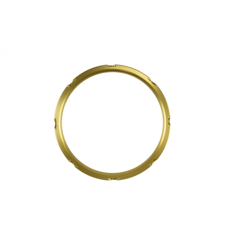Gen V WG45/50 Actuator and ProPort Collar Gold