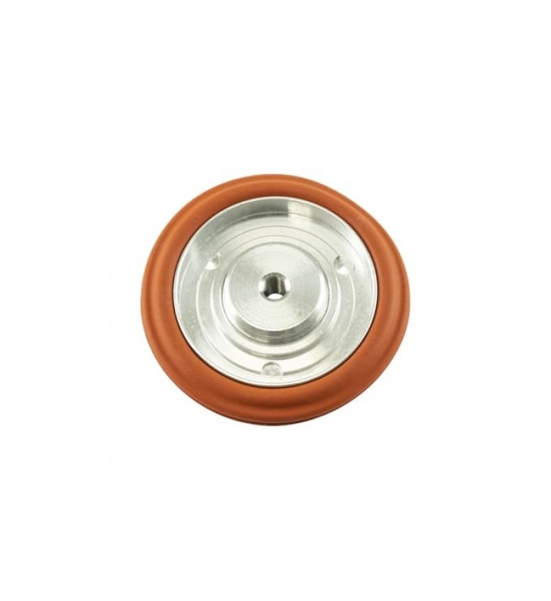 IWG75 Twin Port Diaphragm Assembly Replacement