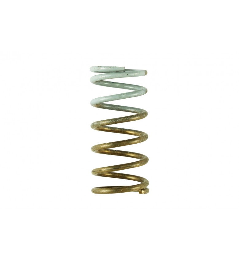 Gen V IWG 5 PSI Spring Replacement