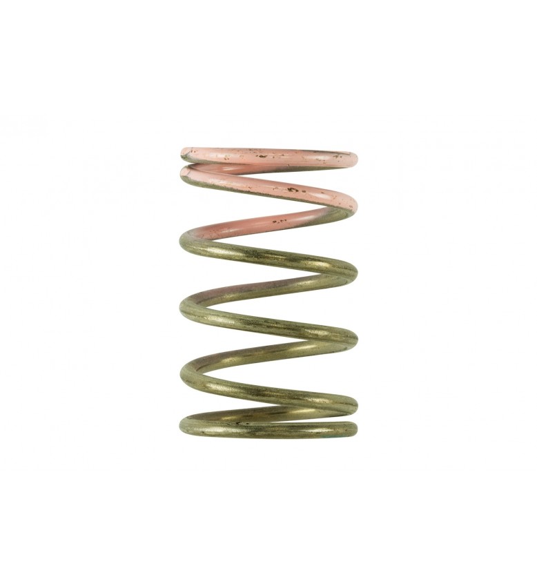 Gen V IWG 7 PSI Spring Replacement