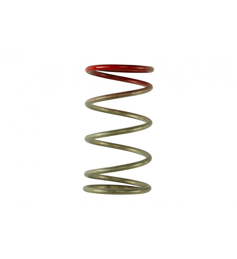 Gen V IWG 14 PSI Spring Replacement