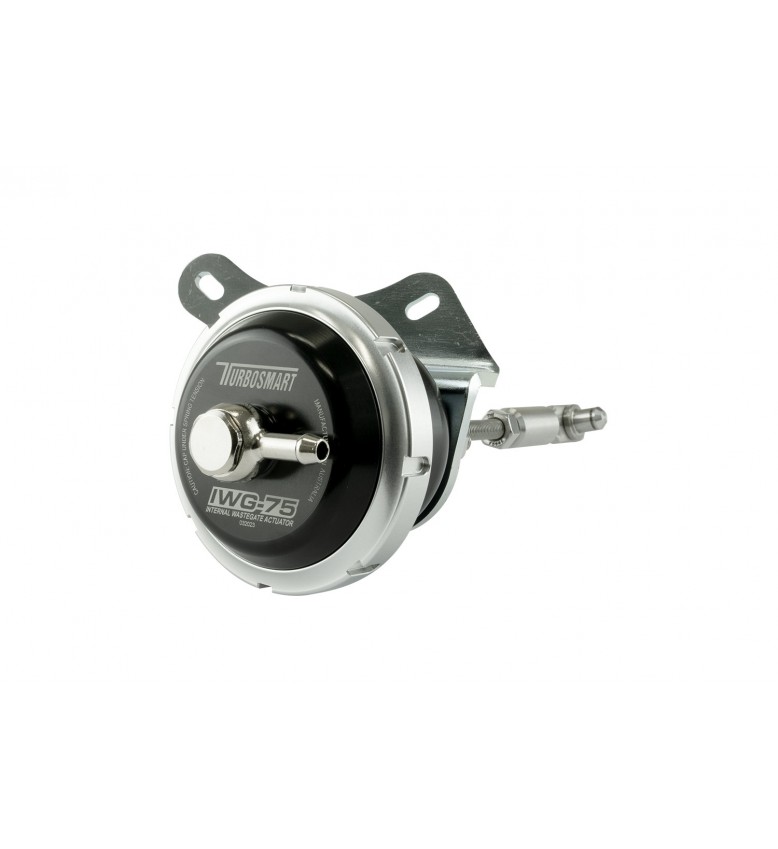 IWG75 Fiat 1.4L IHI 5psi