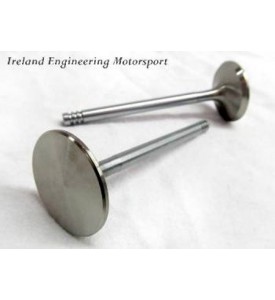 Oversize Intake Valve - 47mm for M10 - Stainless Steel