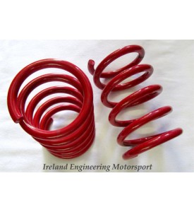 Rear Racing Springs for 2002 - 5" x 8.5" x 350lb