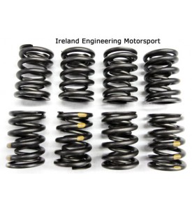 Dual Valve Springs - Race - M10