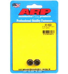 ARP Hardware - 5/16-18 12pt nut kit