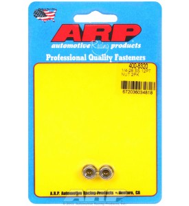 ARP Hardware - 1/4-28 SS 12pt nut kit