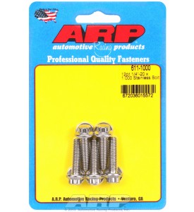 ARP Hardware - 1/4-20 x 1.000 12pt SS bolts