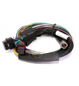 Elite 1000 - 2.5m (8 ft) Basic Uni Wire-in Harness Only