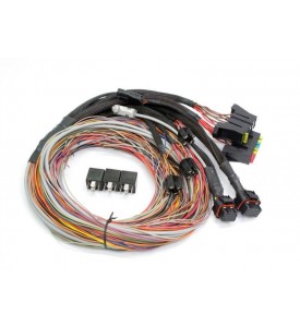 Elite 1000 - 2.5m (8 ft) Premium Universal Wire-in Harness Only Includes firewall grommet, moulded 6 power circuit Haltech fuse box & lid. Includes 4 relays & 7 fuses (includes pins for the 2 spare power circuits)