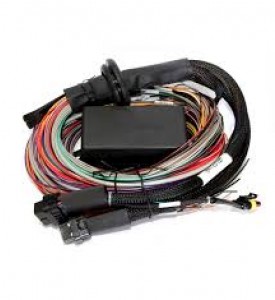 Elite 1500 Plug 'n' Play Parallel Adaptor Harness Only - Dodge Neon SRT4 2003-2005  - Inc pre-wired for a Dual channel ignition module and harness for optional GM 3 or 4 BAR MAP sensor upgrade.