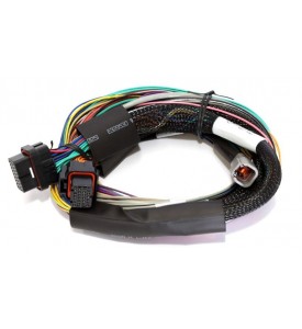 Elite 2000 - 2.5m (8 ft) Basic Uni Wire-in Harness Only