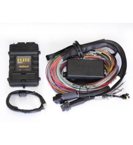 Elite 2500 T with ADVANCED TORQUE MANAGEMENT & RACE FUNCTIONS - Ford Coyote 5.0 Terminated Harness ECU Kit - WBC1/2 CAN O2 Wideband Controller ready