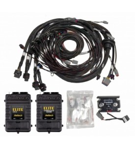 Elite 2500 & Race Expansion Module (REM) 16 Sequential Injector V8 Big Block/Small Block GM, Ford & Chrysler Hemi Terminated Harness ECU Kit - Suits Bosch EV1 injector connectors - inc both ECUs, Engine