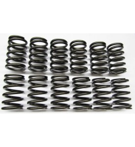 Single Valve Springs - Heavy Duty Street - M30 (early)