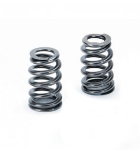 Dual Valve Spring 82 @ 33.65mm (24)SPR-TS1012 + (24)RET-TS60/T1-BE  (+ OEM)