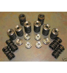 Heavy Duty Dual Street and Mild Race Valve Springs. Good for up to 8000 RPM  M10 and M30 Heads.