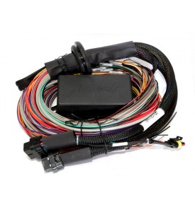 Elite 1000/1500 Mitsubishi 4G63 Terminated Harness Only  WBC1 CAN O2 Wideband Controller ready (Controller and sensor not included)  Suits 1G CAS (Cam Angle Sensor) and Square Bosch EV1 injector connectors. 