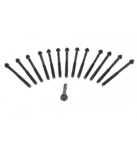 Factory Head Bolt Set - M20 Engine