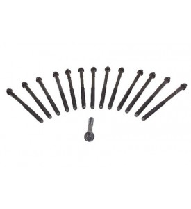 Factory Head Bolt Set - M20 Engine