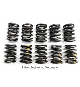 Dual Valve Springs - Race - M30