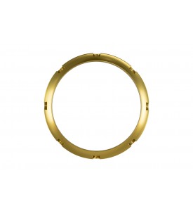 BOV PowerPort Collar Gold