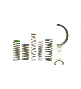 BOV Pro Port Spring Kit