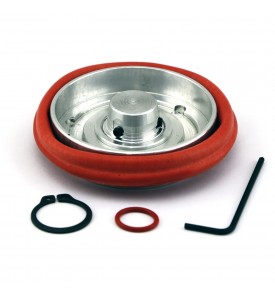 WG (2010 38/40/45) - current 50/60 Diaphragm Replacement
