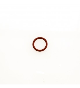 WG Valve Guide 'O' Ring