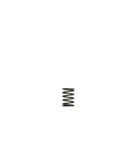 WG38/40 Gen-V 3psi Inner spring - Black