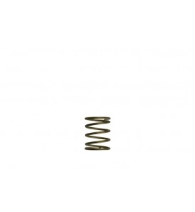 WG45/50 Gen-V 3psi Inner spring - Orange