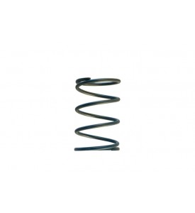 WG45/50 Gen-V 14psi outer spring - Blue