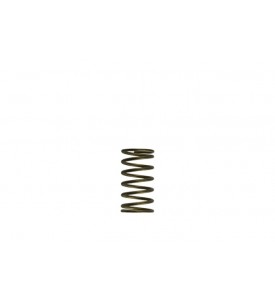 WG60 Gen-V 3psi Inner spring 