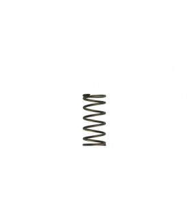 WG60 Gen-V 5psi Inner spring - Purple