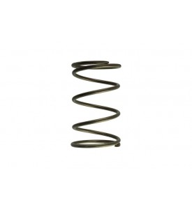 WG60 Gen-V 14psi outer spring - Brown