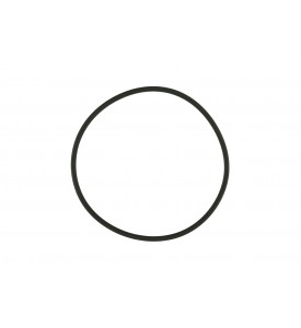 WG38/40 Actuator Cap O-Ring
