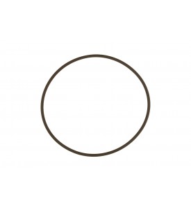 WG45/50 Actuator Cap O-Ring