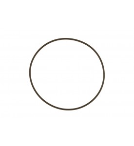 WG60 Actuator Cap O-Ring